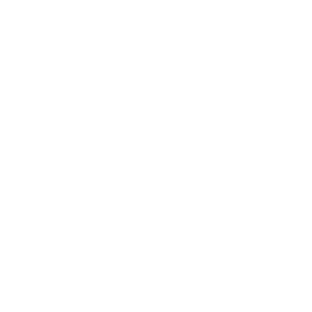 FZ Logo